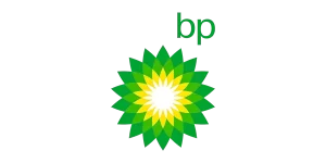 BP FDMS CAT