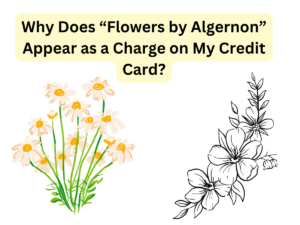 Why Does “Flowers by Algernon” Appear as a Charge on My Credit Card?