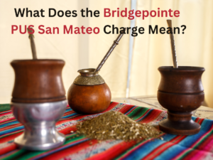 What Does the Bridgepointe PUS San Mateo Charge Mean?